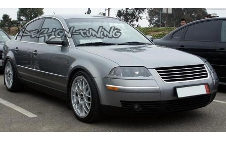 Ресницы Volkswagen Passat B5