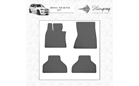 Коврики в салон BMW X5/X6