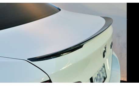 Спойлер BMW 5 (F10)