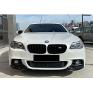 Накладка передняя BMW 5 (F10)