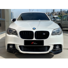 Накладка передняя BMW 5 (F10)