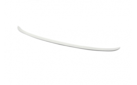 Спойлер BMW 5 G30