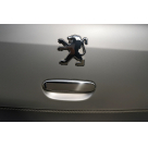 Хром накладки Peugeot 307