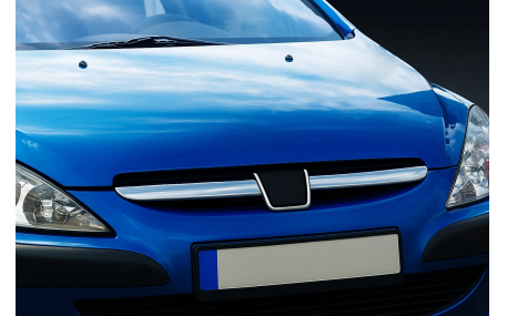 Хром накладки Peugeot 307