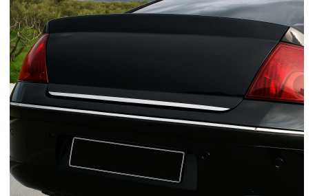Хром накладки Peugeot 407