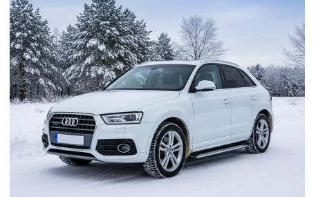 Подножки Audi Q3