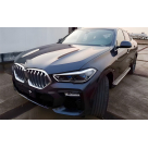 Подножки BMW X6 G06