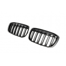 Решетка радиатора BMW X1 F48 2015-2019