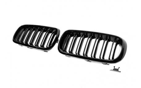 Решетка радиатора BMW X5 (F15)