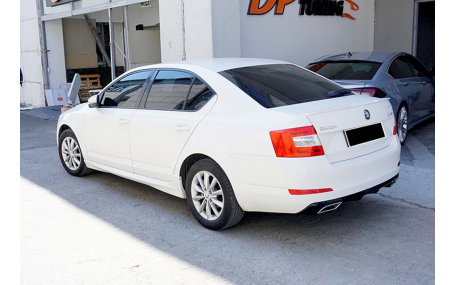 Пороги Skoda Octavia A7