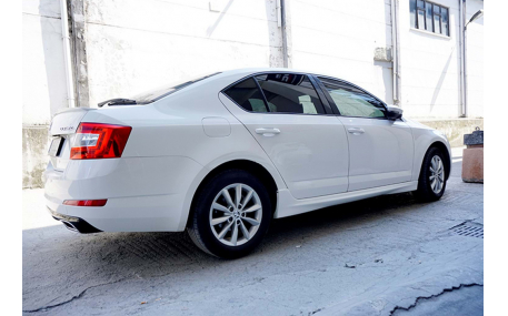 Пороги Skoda Octavia A7