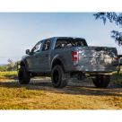 Арки Ford F150 2017-2020