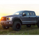 Арки Ford F150 2017-2020