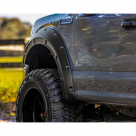 Арки Ford F150 2017-2020