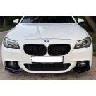 Решетка радиатора BMW 5 (F10)