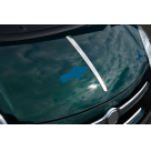 Хром накладки Fiat 500/500L
