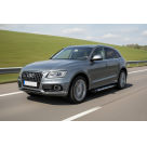 Подножки AUDI Q5