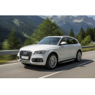 Подножки AUDI Q5