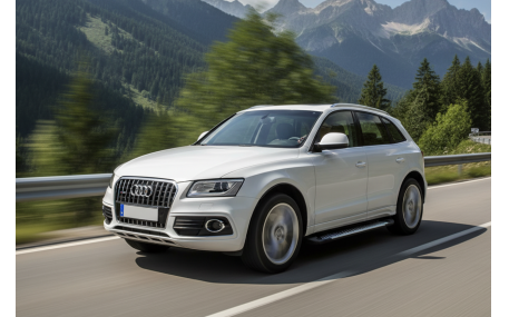 Подножки AUDI Q5