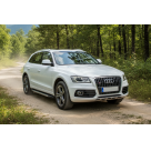 Подножки AUDI Q5