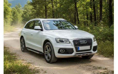 Подножки AUDI Q5