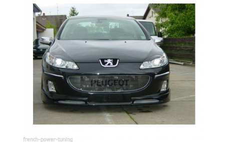 Ресницы Peugeot 407