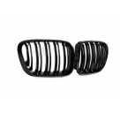 Решетка радиатора BMW X5 E53 1999-2003