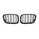 Решетка радиатора BMW X5 E53 1999-2003