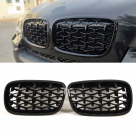 Решетка радиатора BMW X5 (E70)