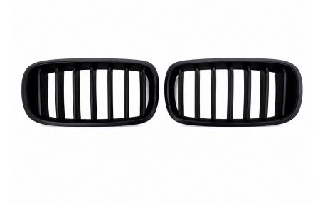 Решетка радиатора BMW X5 (F15)