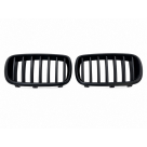 Решетка радиатора BMW X5 (F15)