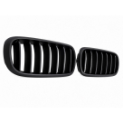 Решетка радиатора BMW X5 (F15)