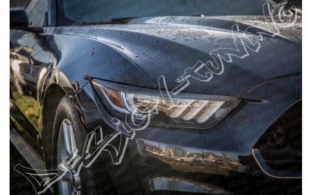 Ресницы Ford Mustang