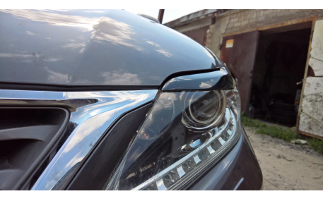 Ресницы Lexus RX