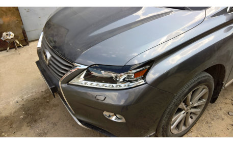 Ресницы Lexus RX