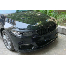 Ресницы BMW 5 (G30)