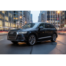 Подножки Audi Q7