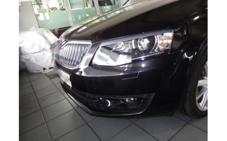 Ресницы Skoda Octavia A7