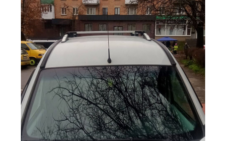 Рейлинги Renault Kangoo