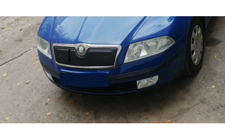 Зимняя накладка на решетку Skoda Octavia A5