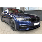 Пороги BMW 5 G30 2016-2020