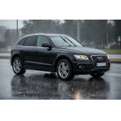 Подножки Audi Q5
