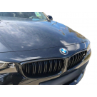 Решетка радиатора BMW 3 F34 GT