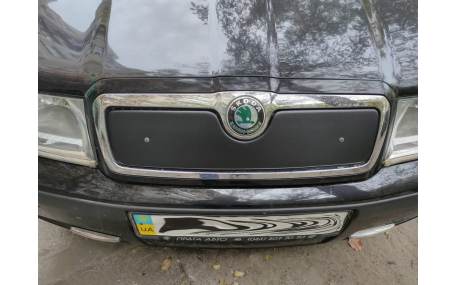 Зимняя накладка на решетку Skoda Octavia Tour