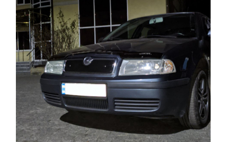 Зимняя накладка на решетку Skoda Octavia Tour