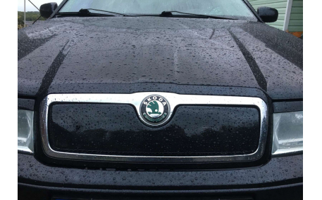 Зимняя накладка на решетку Skoda Octavia Tour