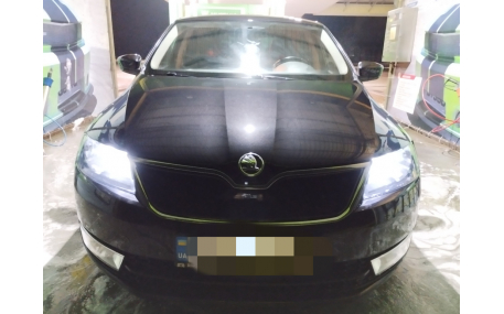 Зимняя накладка на решетку Skoda Rapid