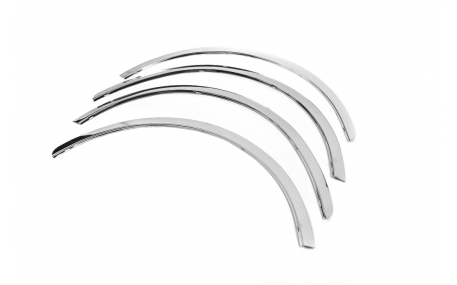 Арки Renault Scenic