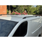 Рейлинги Opel Vivaro