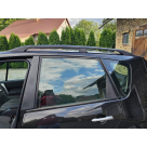 Рейлинги Renault Scenic